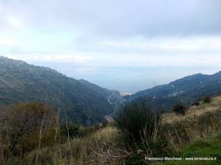 nte Scuderi-23-11-2014 09-50-03